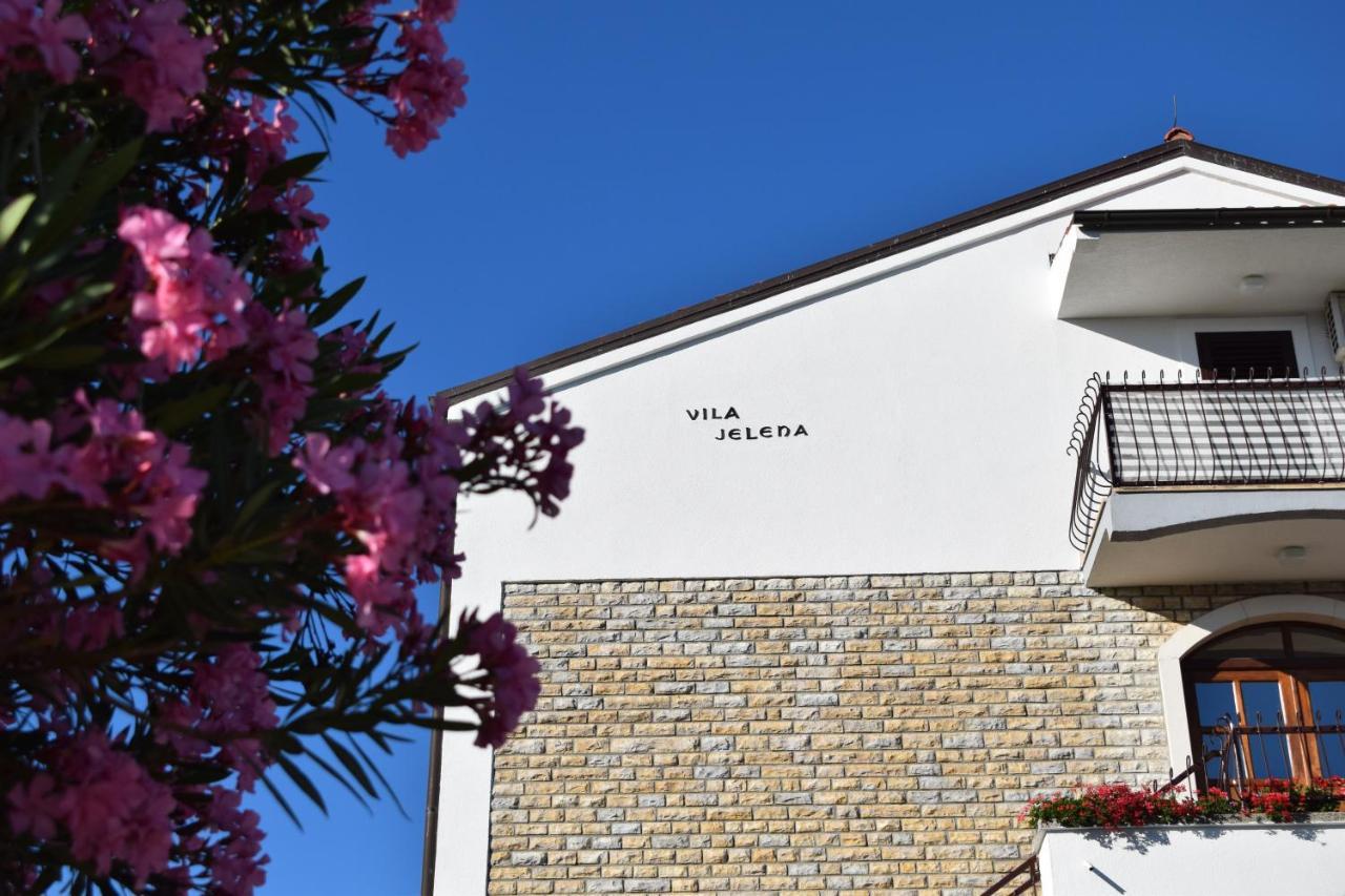 Vila Jelena - Studio Apartments For 2 To 3 Persons In Sv Filip I Jakov 圣菲利普雅科夫 外观 照片